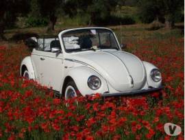 Noleggio occasionalmente Maggiolone cabriolet bianco  per matrimoni ed eventi 