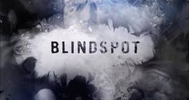 Blindspot - 5 Stagioni Complete