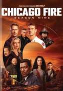 Chicago Fire – Stagioni 1 2 3 4 5 6 7 8 9 10 e 11 - Complete