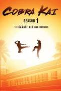 Cobra Kai - Stagioni 1 2 3 4 5 e 6 - Complete