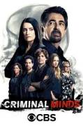 Criminal Minds - 17 Stagioni Complete