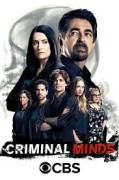 Serie TV Criminal Minds - 16 Stagioni Complete