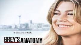 Greys Anatomy - Stagione 15 - Completa