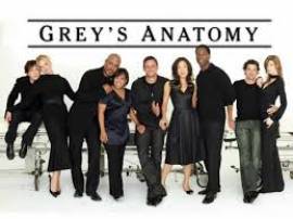 Greys Anatomy - Stagione 15 - Completa