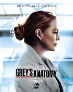 Greys Anatomy 17 - Completa