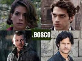 Serie TV Il Bosco - Completa