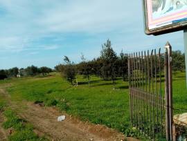 area mq7000 irrigua di fronte Bariblù x  PARK CAMION  E vivaio ecc.