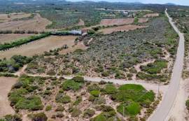 Terreno 