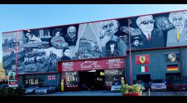Murales decorazione interni ed esterni 