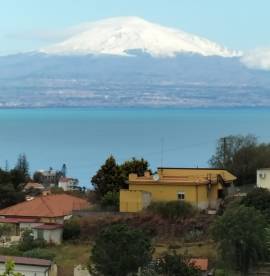 TERRENO AGRICOLO