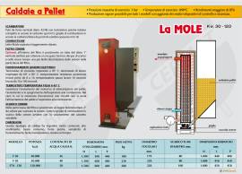 Caldaia 20/40 kw a biomassa