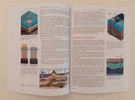 Misero successo di Giovanni Menon 1°Ed. BST, ottobre 2016 come nuovo 