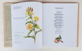 La salute foglia per foglia ovvero come curarsi secondo natura di Anna Maria Botticelli e Clementina