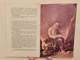 Il libro delle streghe di Serena Foglia  2°Ed.Rusconi, novembre 1981