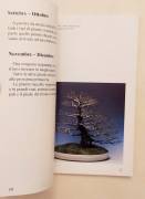 La cura del bonsai.Cura annuale di 12 mesi di Horst Krekeler Ed.Multi Druck GmbH, 1984 La cura del bonsai.Cura annuale di 12 mesi di Horst Krekeler Ed.Multi Druck GmbH, 1984