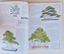 Coltiviamo i Bonsai.Gli stili  Legatura e potatura. Vasi e rinvasi 1°Ed.Demetra, marzo 1998