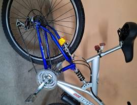 Bicicletta World Cup per ragazzo Bicicletta World Cup per ragazzo