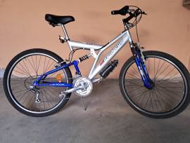 Bicicletta World Cup per ragazzo Bicicletta World Cup per ragazzo