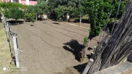 Terreno pianeggiante con alberi da frutta