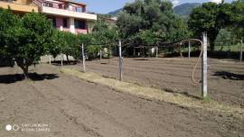 Terreno pianeggiante con alberi da frutta