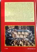 Paese che vai Natale che trovi di Giacomo Luzzagni Venilia Editrice, 2002 nuovo