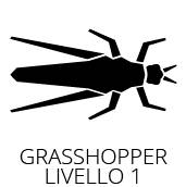 Corso Grasshopper Standard Livello I Firenze 350€