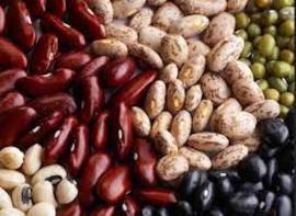 Sell ​​beans Bandolya, White round, Kidni, Mavka, etc.