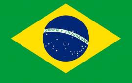 LEZIONI DI PORTOGHESE DEL BRASILE / BRASILIANO INSEGNANTE MADRELINGUA PORTOGHESE (Brasile)