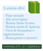 RICERCHIAMO AGENTI IMMOBILIARI