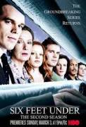 Six Feet Under - Stagioni 1 2 3 4 e 5 - Complete