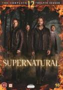 Supernatural - Stagioni 12 13 14 e 15 - Complete