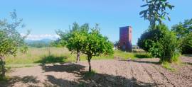 49 terreno 