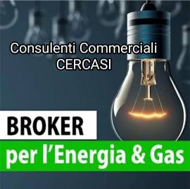 Consulente Commerciale 