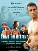 Come un Delfino - Stagione 1 e 2 Serie Completa