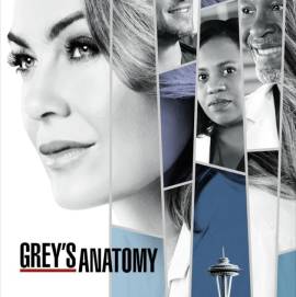 Greys Anatomy - Stagione 14 - Completa