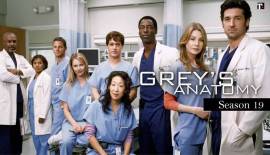 Greys Anatomy - Stagione 19 - Completa