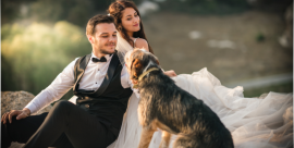 Servizio Wedding Dog Sitter a Como