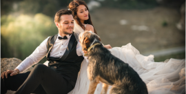 Servizio di Wedding Dog Sitter a Milano e provincia