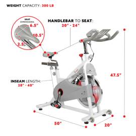 Indoor cycling bike Sunny SF-B1876