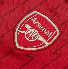 Arsenal Shirt Women 2023-2024