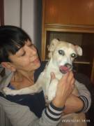 ● Cerco lavoro - Accompagnamento anziani, bambini o animali ●
