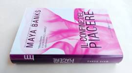 Il confine del piacere di Maya Banks 1°Ed.Harlequin Mondadori, ottobre 2013 come nuovo 