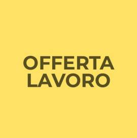 Confezione di buste 