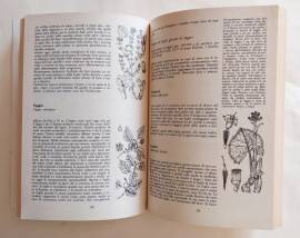 Frutti di bosco commestibili di Francesco Indrio 1°Edizione Fratelli Melita Editori, gennaio 1990