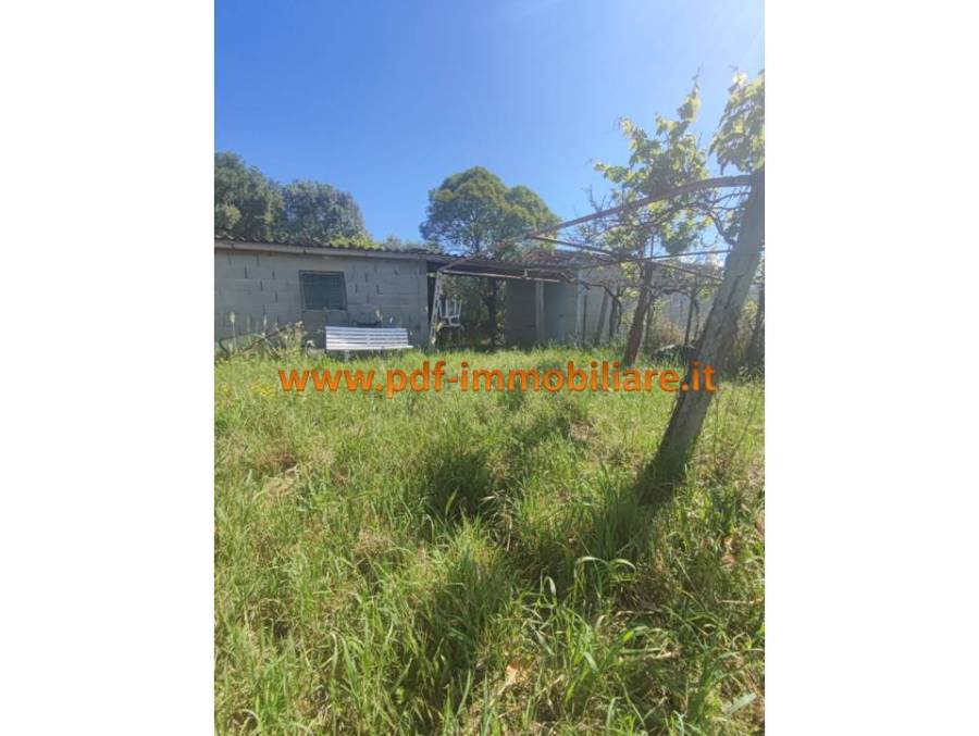 Terreno agricolo di 4520 mq a Monterotondo con due pozzi