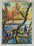 La regina dei Caraibi. Edizione Integrale di Emilio Salgari Antonio Vallardi Editore, gennaio 1977