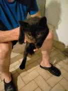 Nerone