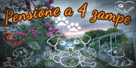 Pensione a 4 zampe 