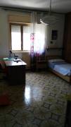  affitto a studenti