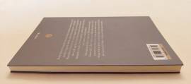 Mrs Grace di Chiara Briani 1°Ed.Alter Ego, maggio 2017 Mrs Grace di Chiara Briani 1°Ed.Alter Ego, maggio 2017